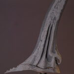 jangkung_melati sinebar